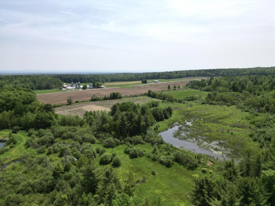 dji_fly_20250604_115504_555_174905396598