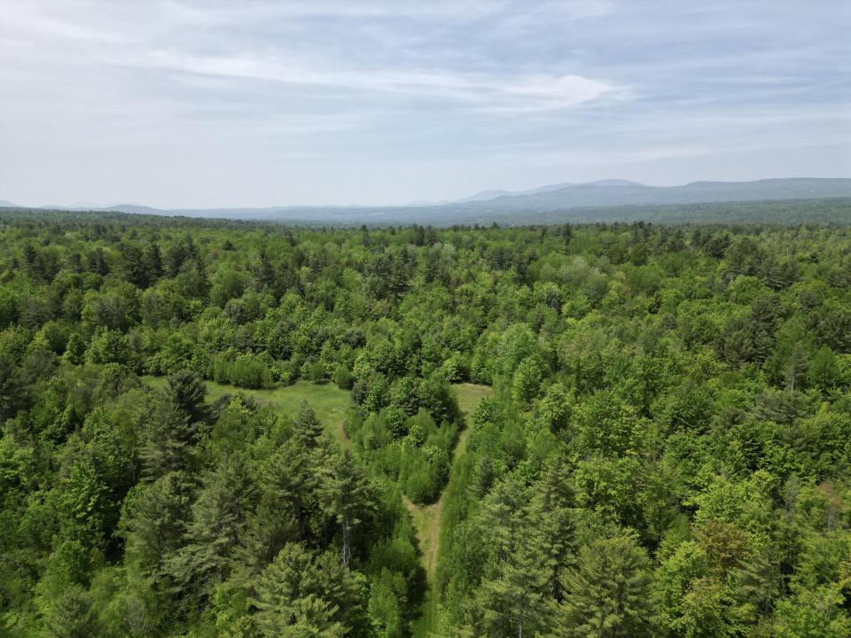 dji_fly_20250604_120406_571_174905390917