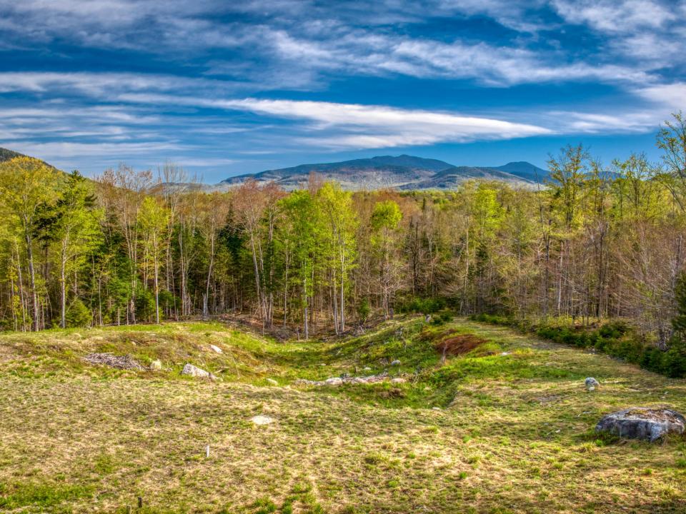 Meadow Beyond Yard w/Mountain Views
