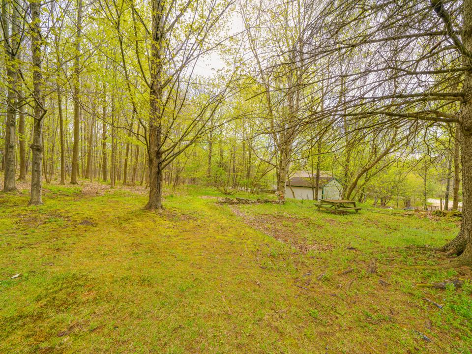 Wooded Lot