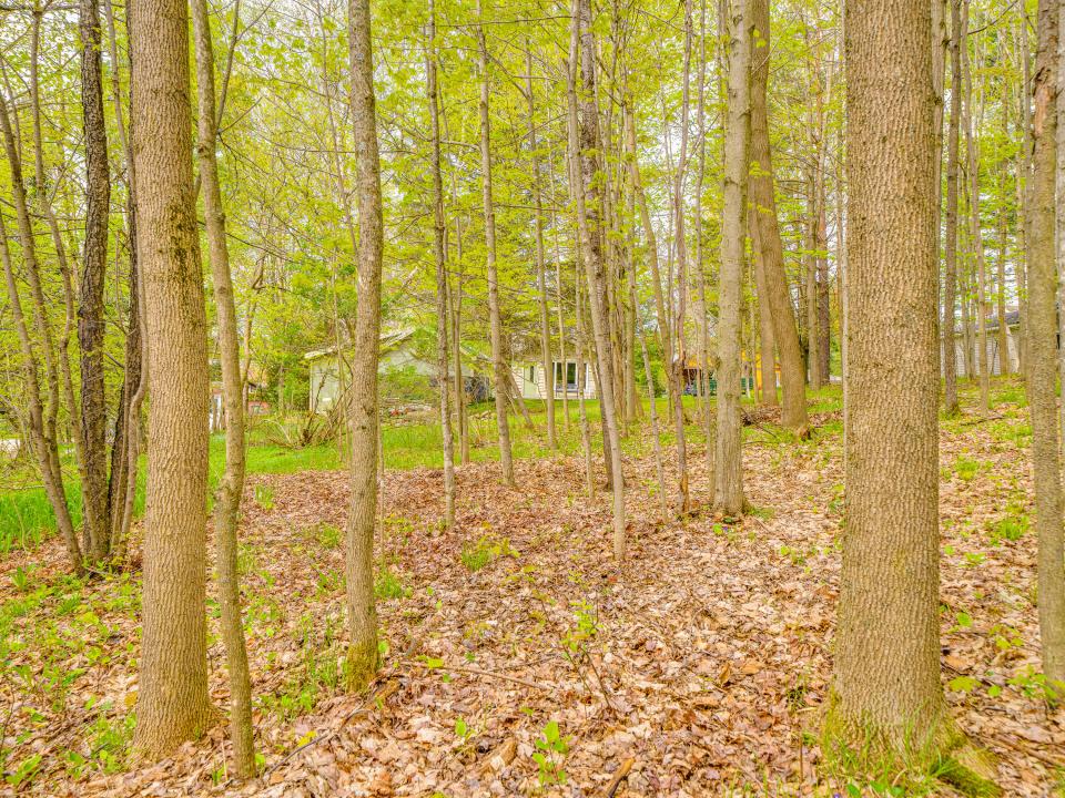 Wooded Lot