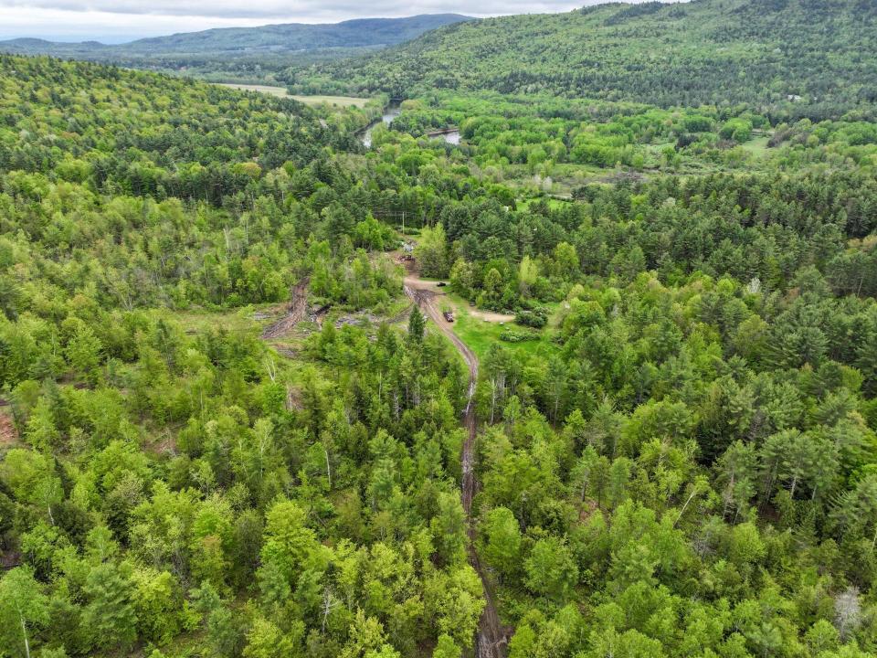 8 Balsam Dr yard