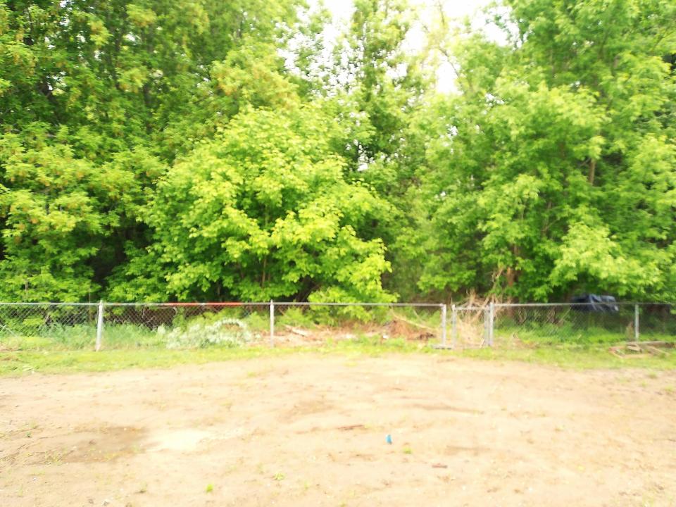 Back Yard3