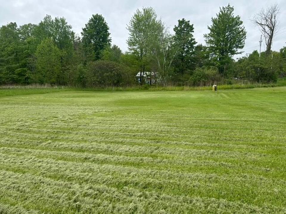8566 Rt 22 side yard