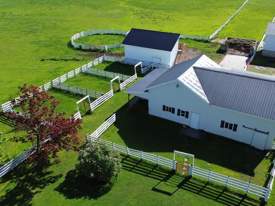 DJI_0431
