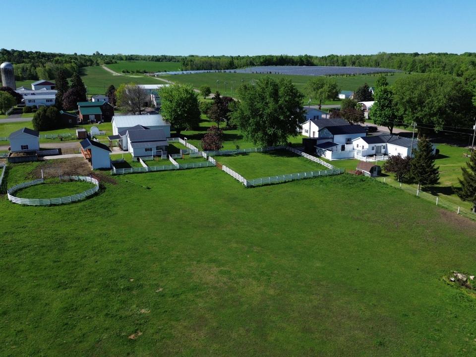 DJI_0442