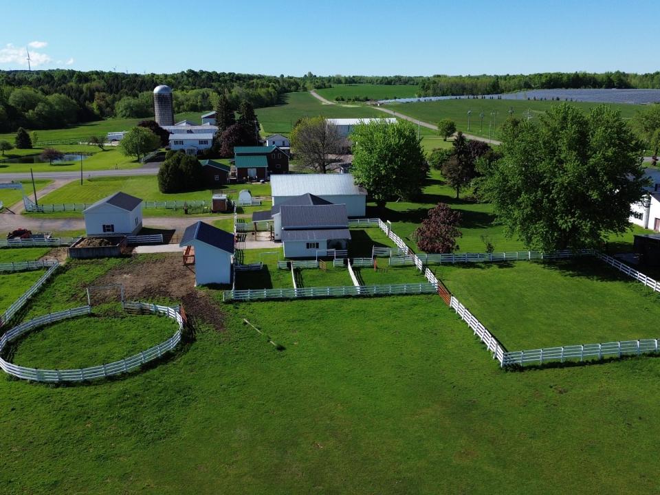DJI_0443