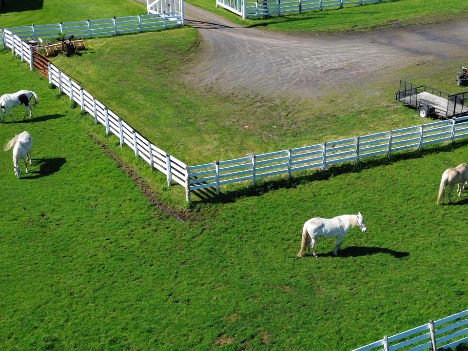 DJI_0452 - Copy