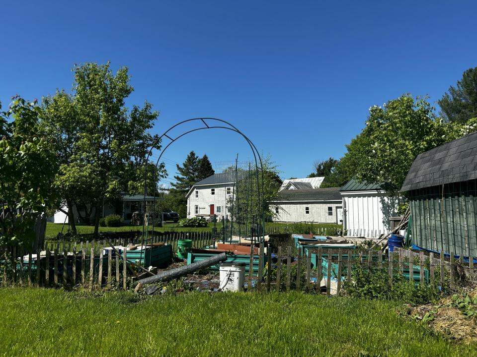 IMG_8917