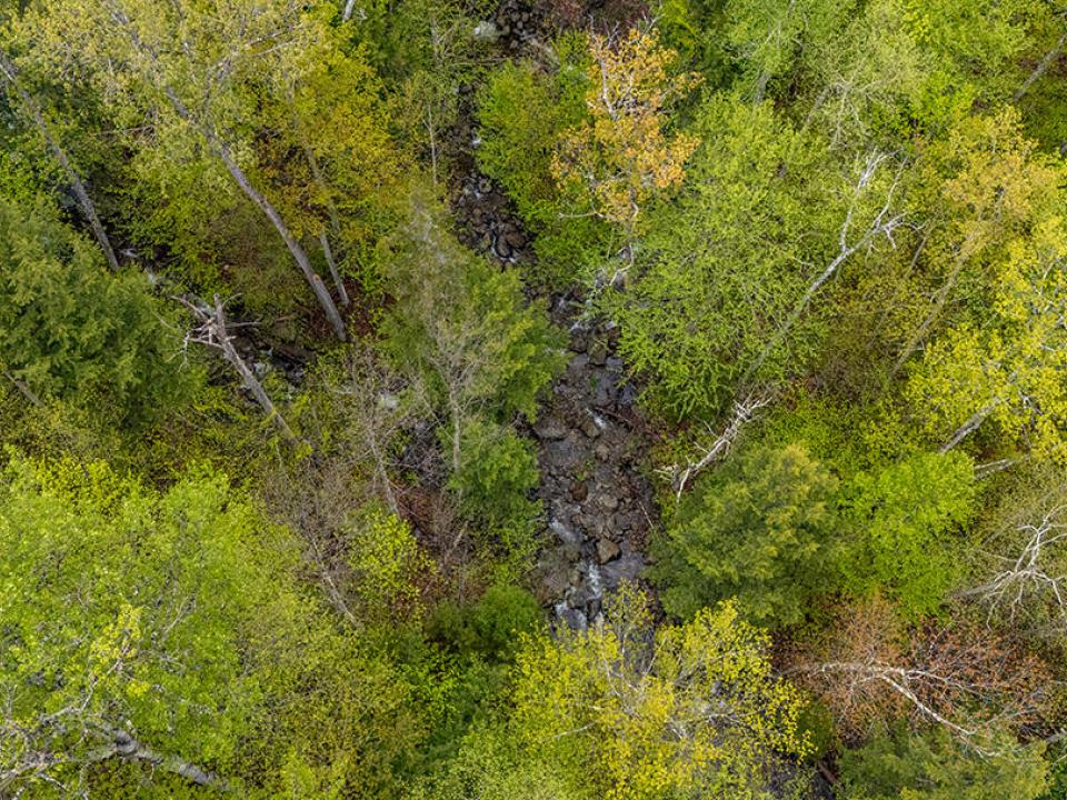 HuntersParadiseInKeeneValley_A_Brook_Abo