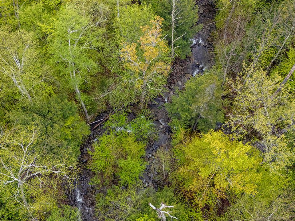 HuntersParadiseInKeeneValley_A_Brook