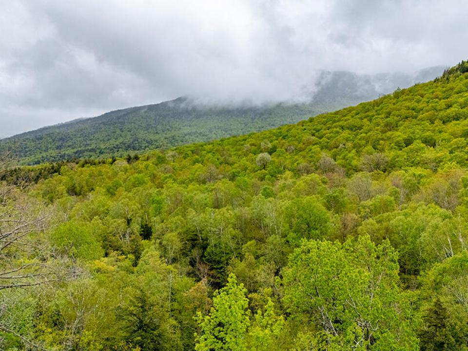 HuntersParadiseInKeeneValley_A_Mountain