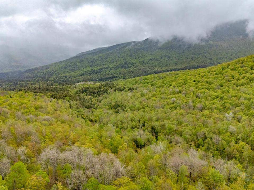 HuntersParadiseInKeeneValley_A_Mountains