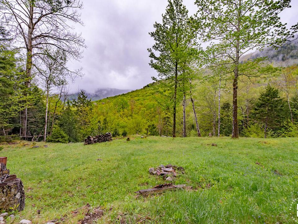 HuntersParadiseInKeeneValley_Yard_L