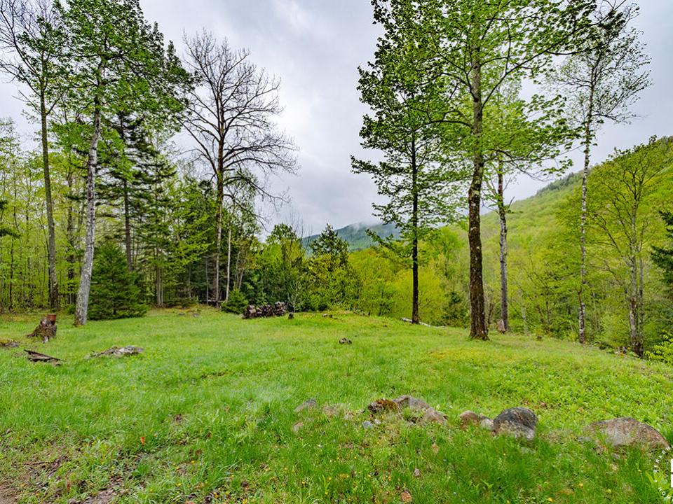 HuntersParadiseInKeeneValley_Yard_R