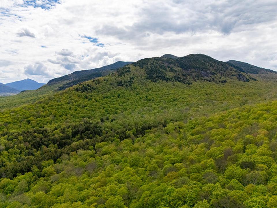 HuntersParadiseInKeeneValley_Sun_A_Mount