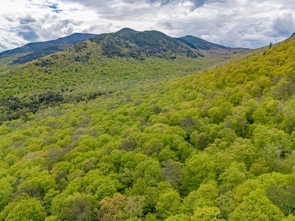 HuntersParadiseInKeeneValley_Sun_A_Mount