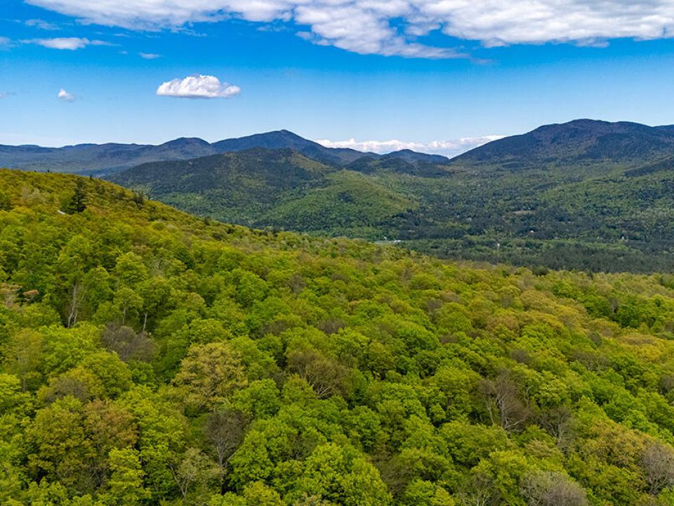 HuntersParadiseInKeeneValley_Sun_A_Town_