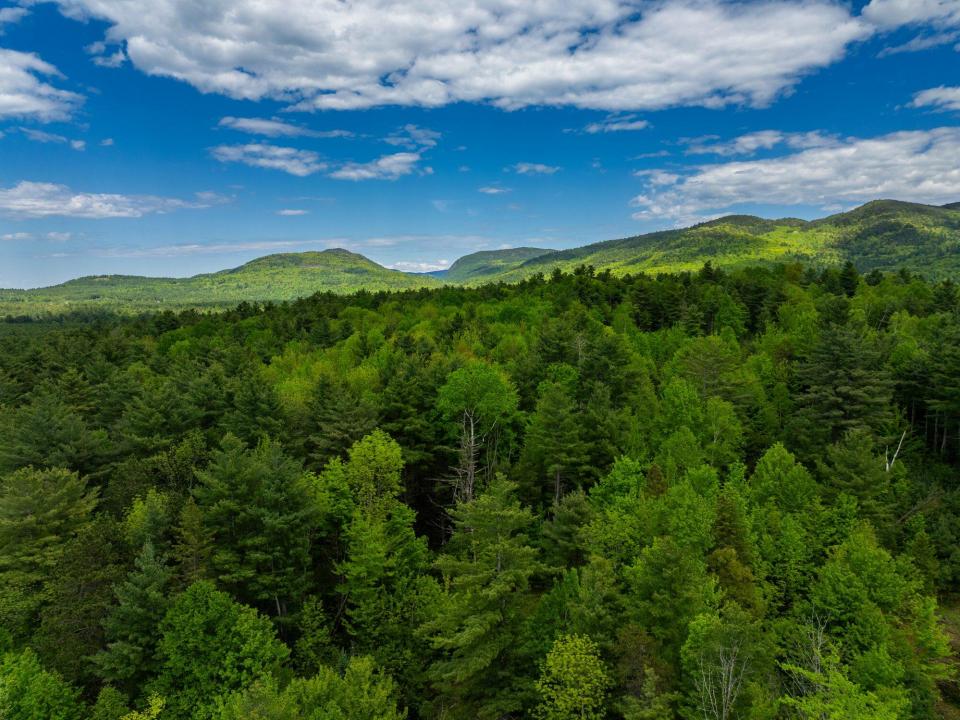 Lot 2 Jay drone views May 27 2025-22_200