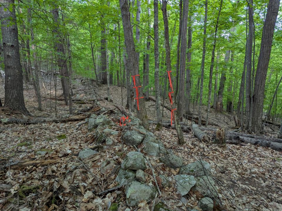 PXL_20250527_220845308