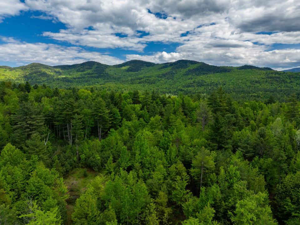 Lot 2 Jay drone views May 27 2025-20_200