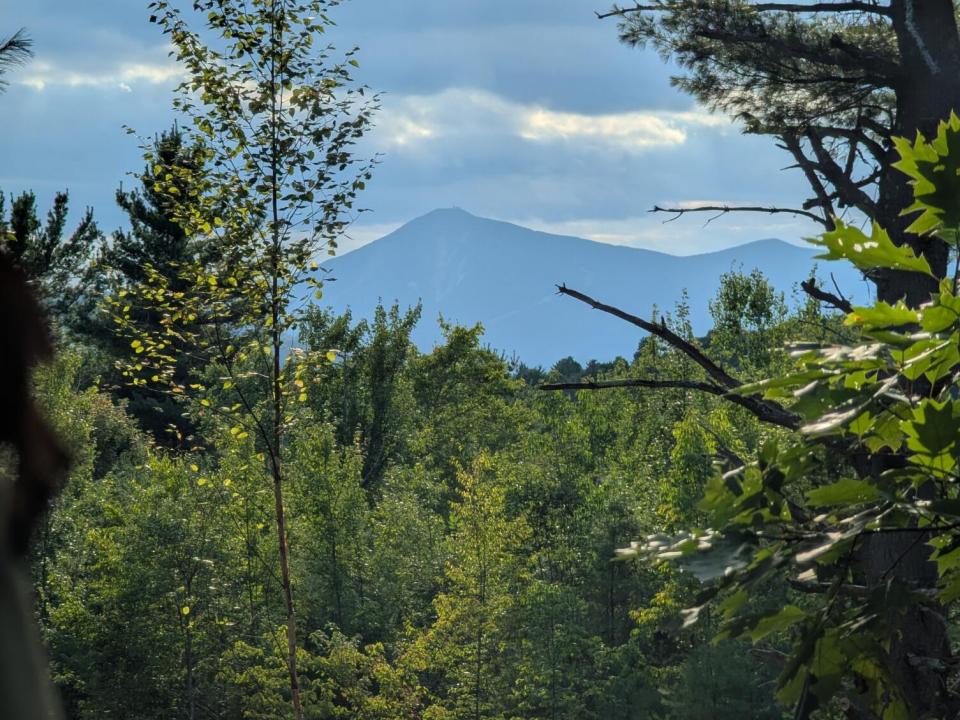 Lot 2 view of Whiteface 1