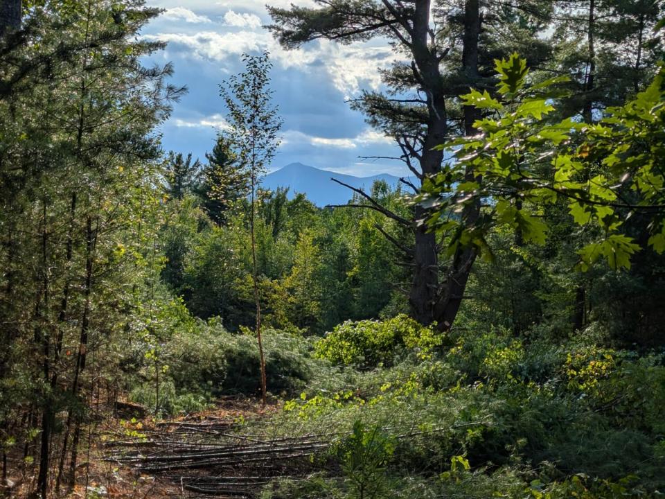 Lot 2 View of Whiteface 2