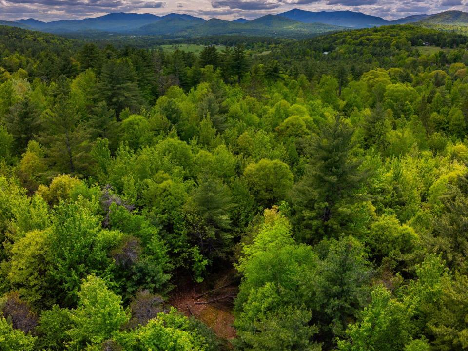 Lot 3 Jay drone views May 27 2025-18_200