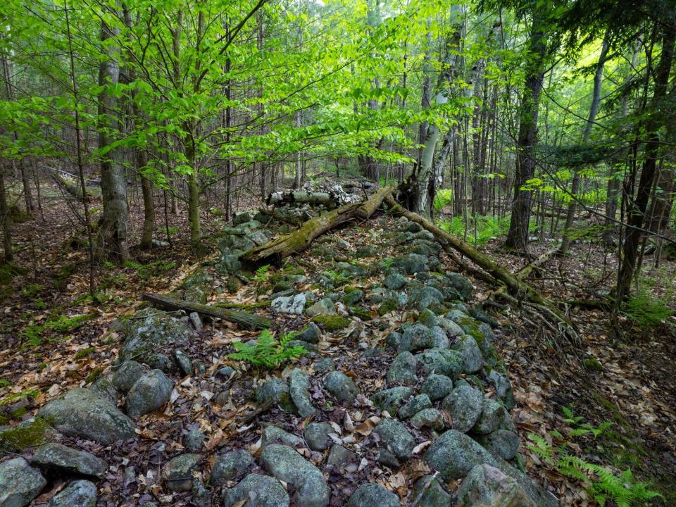Lot 3 paths and old stone fences May 26