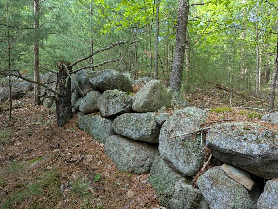 PXL_20250527_221223387
