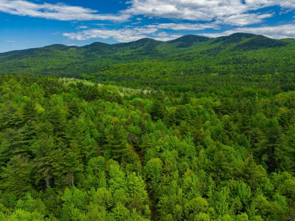 Lot 3 Jay drone views May 27 2025-21_200
