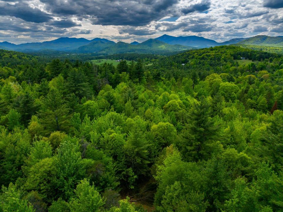 Lot 3 Jay drone views May 27 2025-17_200