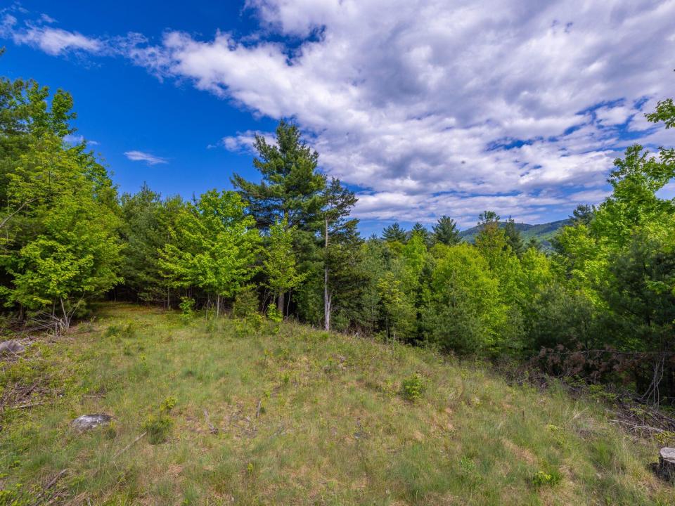 Lot 3 paths and old stone fences May 26