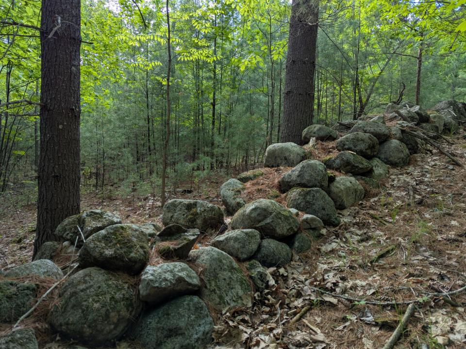 PXL_20250527_221135442