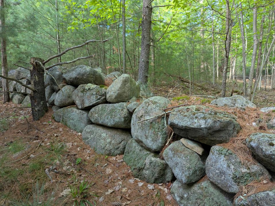 PXL_20250527_221229014