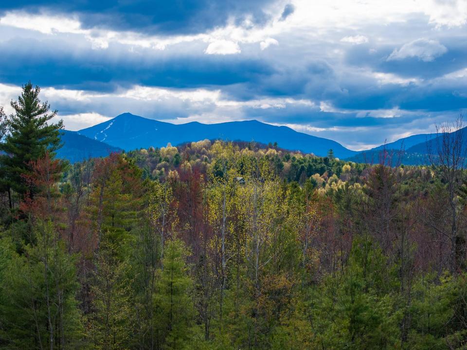 DJI_20260421042731_0077_D_2500px