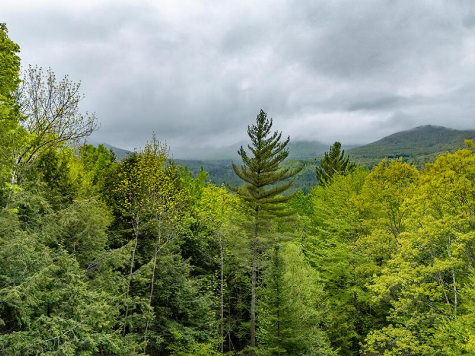 KeeneValleyCampOnLeviLamb_A_View