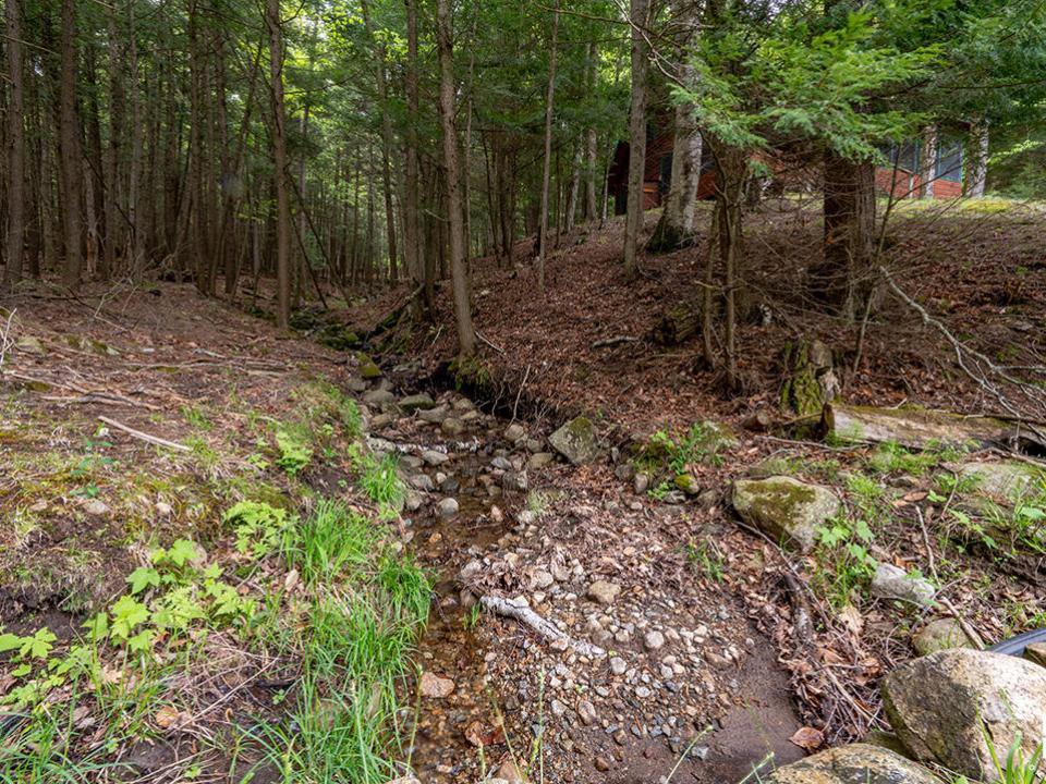 KeeneValleyCampOnLeviLamb_Brook