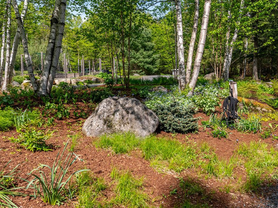 CampSimla_Garden_From_Front_House