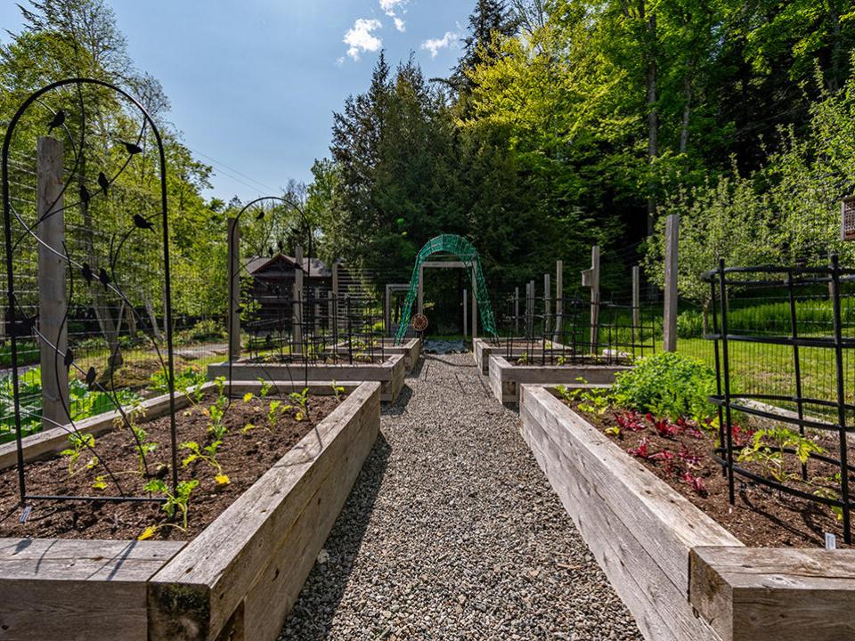 CampSimla_Enclosed_Garden_Boxes