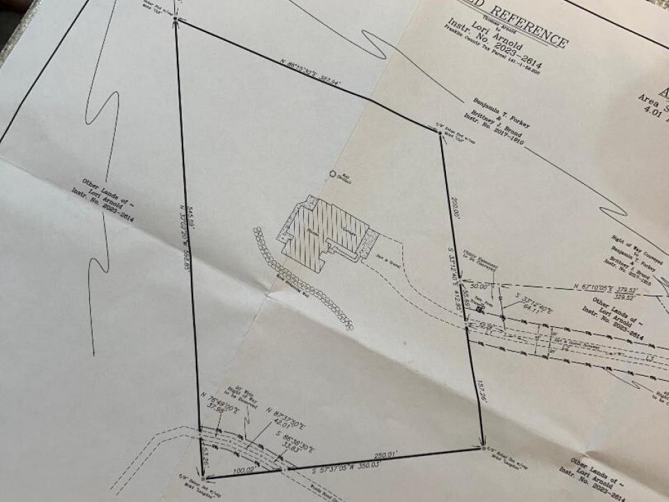 Arnold survey