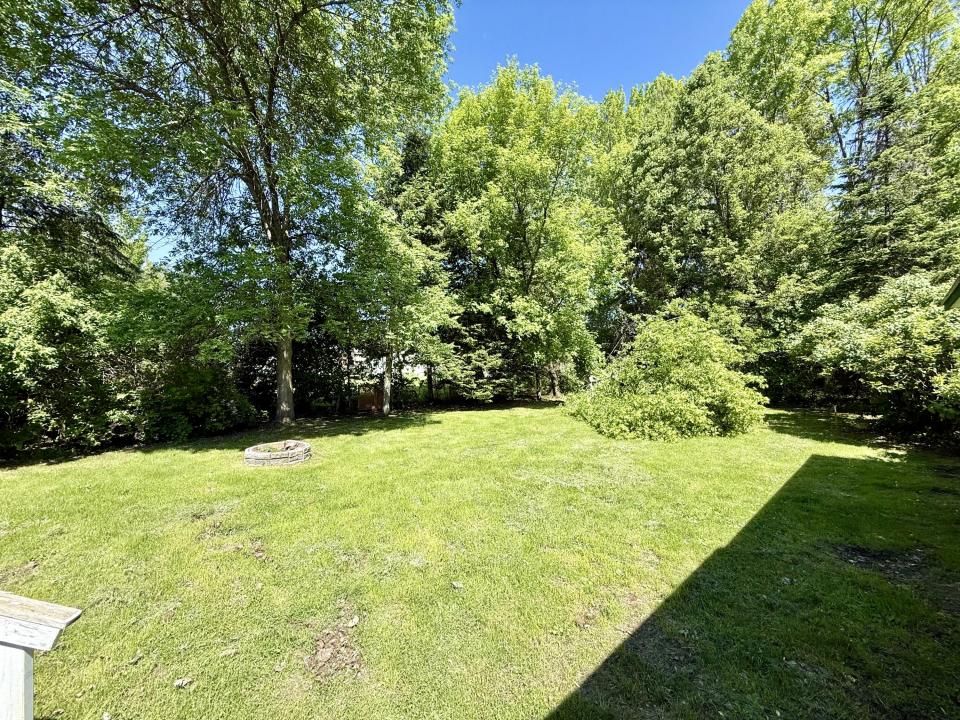 Back yard