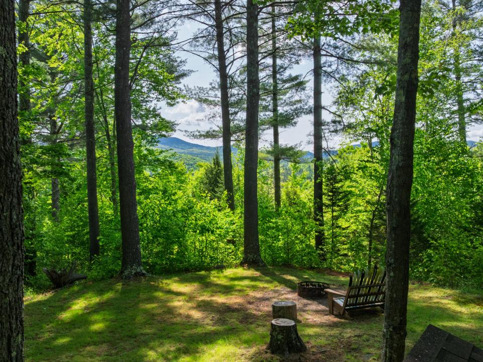 96 Bell Meadow Way Keene-19