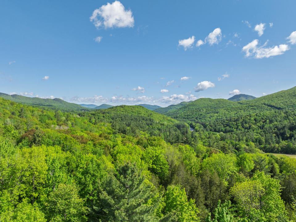 96 Bell Meadow Way Keene-74
