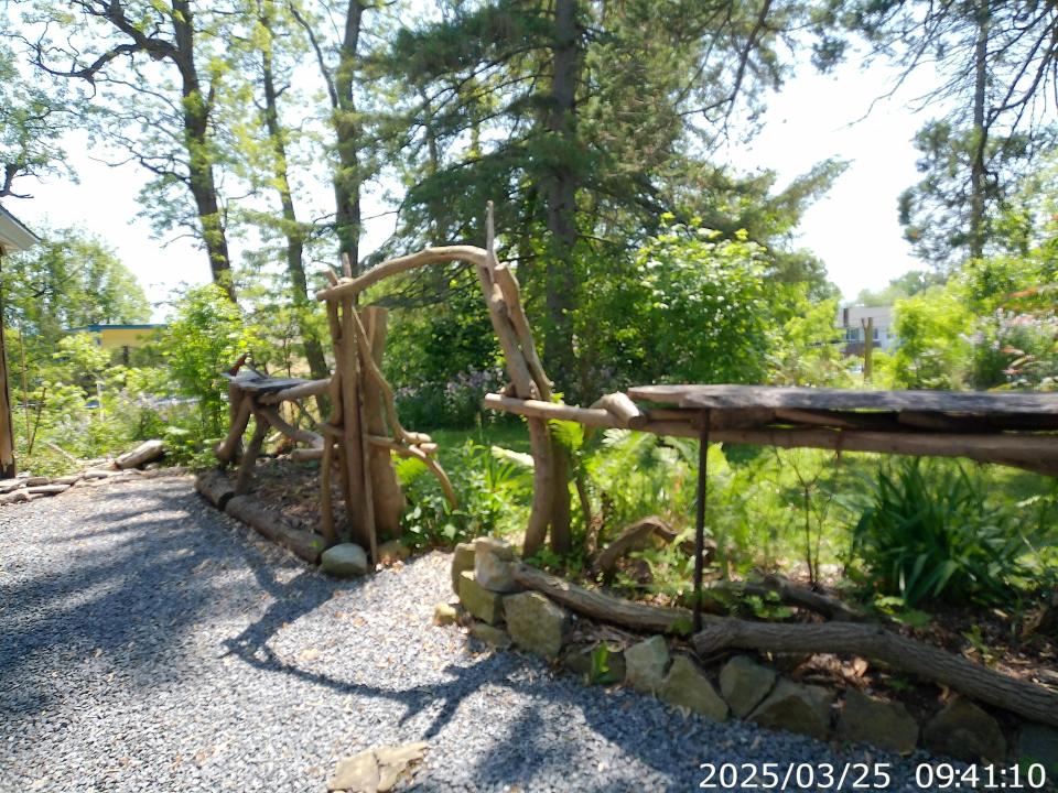 Grounds1