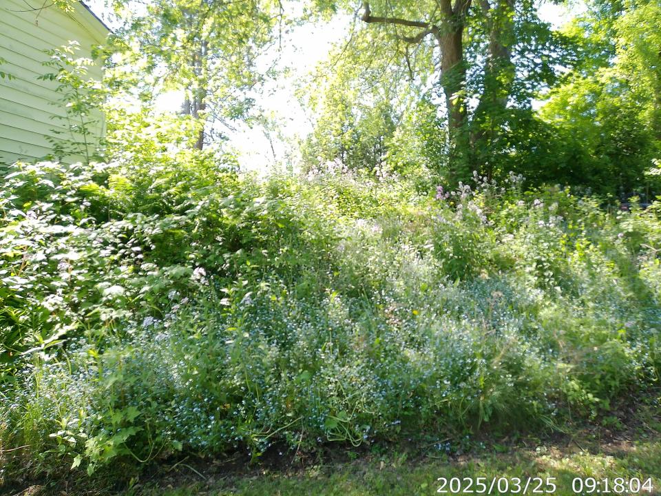 Grounds5