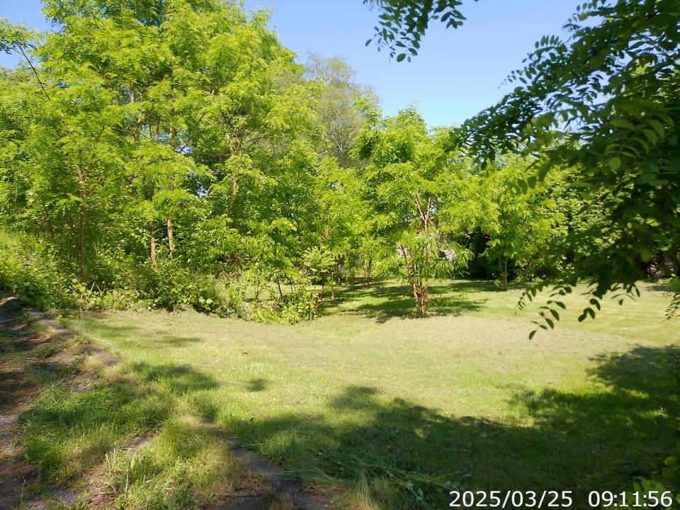 Grounds6