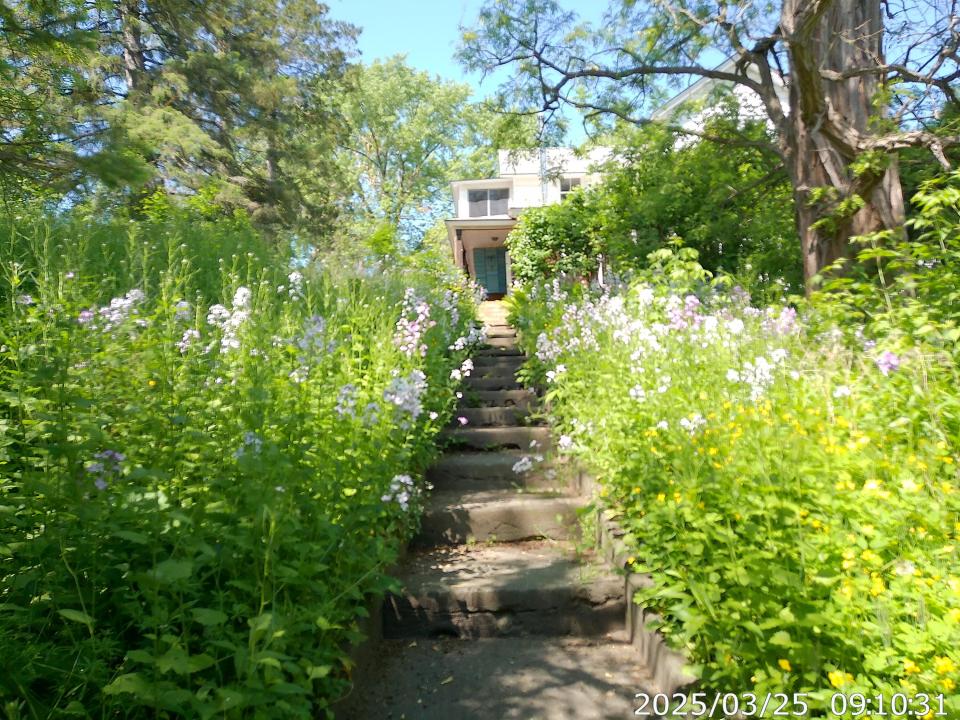 Stairs1