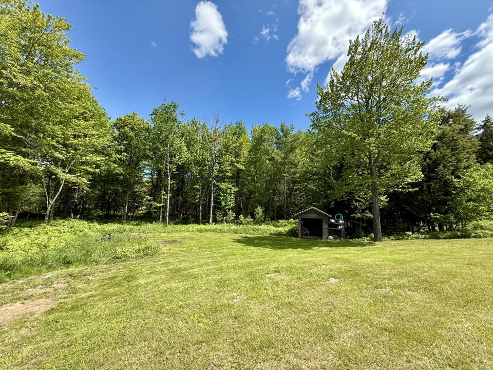 Back yard