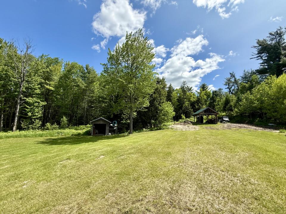 Back yard